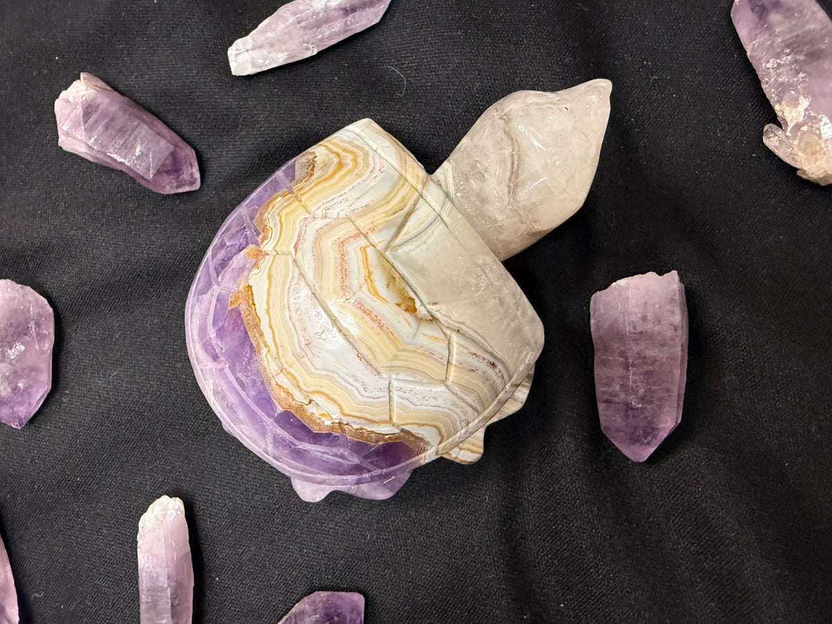 Amethyst agate Turtle